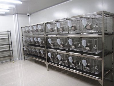 動物實驗室設計